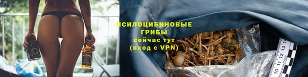 ALPHA PVP Арсеньев