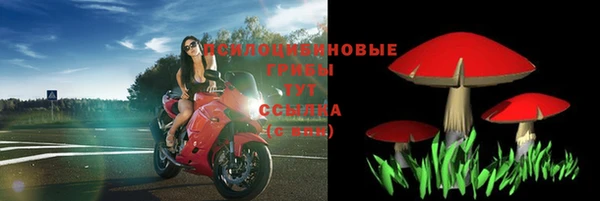 твердый Армянск