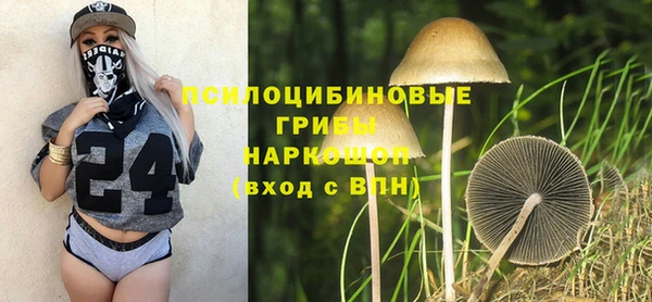 твердый Армянск