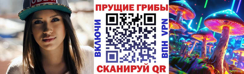 наркошоп  Новый Оскол  Псилоцибиновые грибы MAGIC MUSHROOMS 